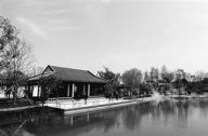 江蘇省園博會蘇州開幕 新式園林成亮點(diǎn)