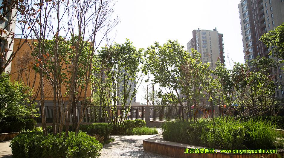 中糧萬科 長陽項目 小學(xué)園林