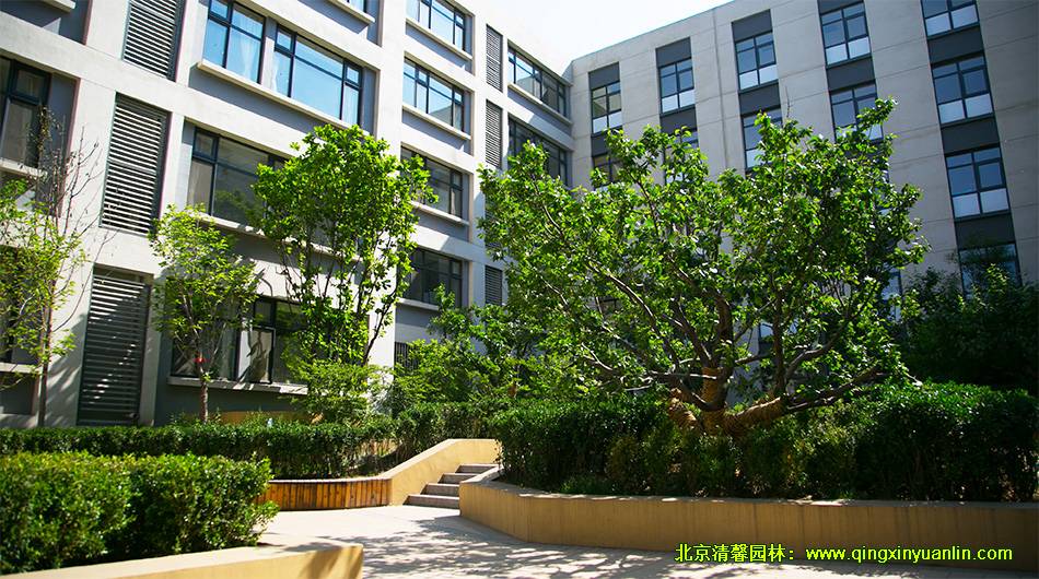 中糧萬科 長陽項目 小學(xué)園林