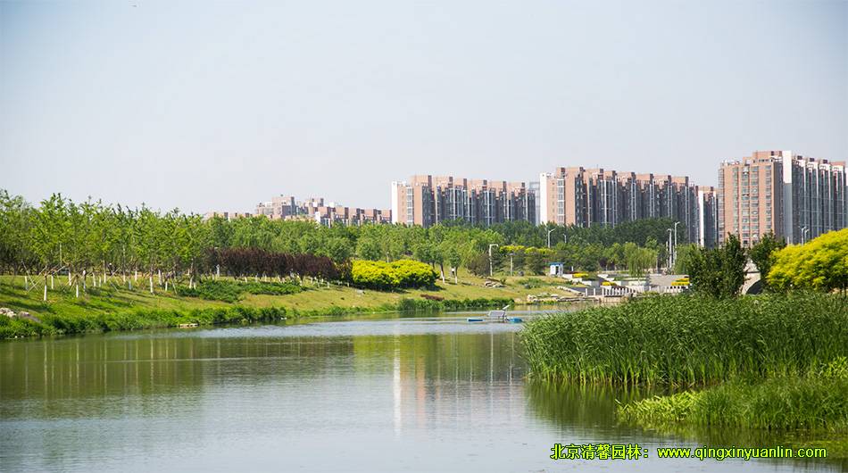 公園景觀設(shè)計 度假村景觀設(shè)計
