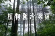 PM2.5有的治嗎？