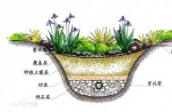 什么是雨水花園？雨水花園和普通花園有什么區(qū)別？